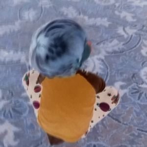 Meet your Posher, Aday